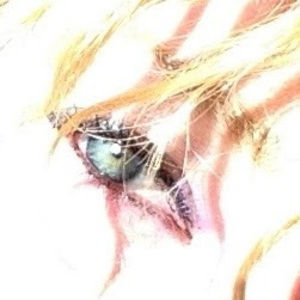 Meet your Posher, Halley